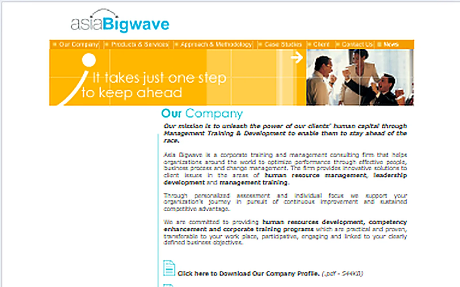 Asia Bigwave website before the redesign